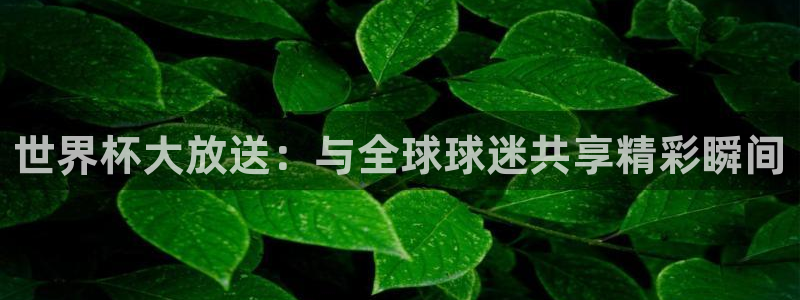 国际足联世界杯：世界杯大放送：与全球球迷共享精彩瞬间