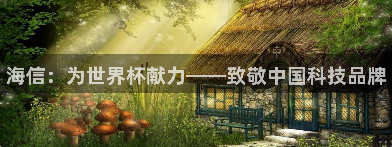 欧洲世界杯预选赛赛程：海信：为世界杯献力——致敬中国科技品牌