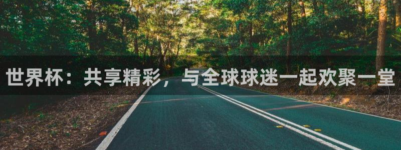 2026世预赛赛程：世界杯：共享精彩，与全球球迷一起欢聚一堂