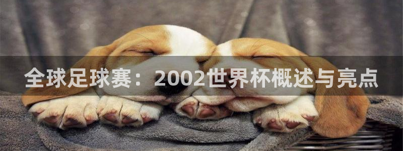世界杯对阵图2026：全球足球赛：2002世界杯概述与亮点