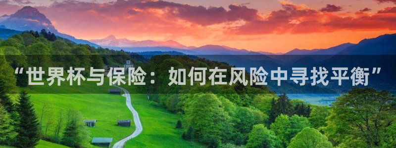 2026世界杯官网入口：“世界杯与保险：如何在风险中寻找平衡”