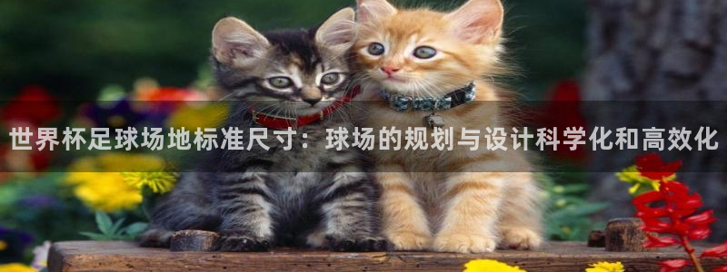 足球杯：世界杯足球场地标准尺寸：球场的规划与设计科学化和高效化