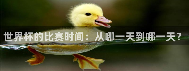 世界杯2026赛程时间表格：世界杯的比赛时间：从哪一天到哪一天？