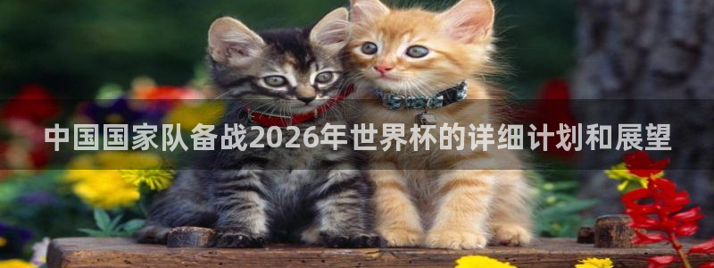 世界杯赛程时间表：中国国家队备战2026年世界杯的详细计划和展望