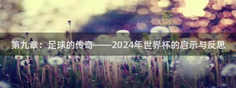 世界杯足球：第九章：足球的传奇——2024年世界杯的启示与反思