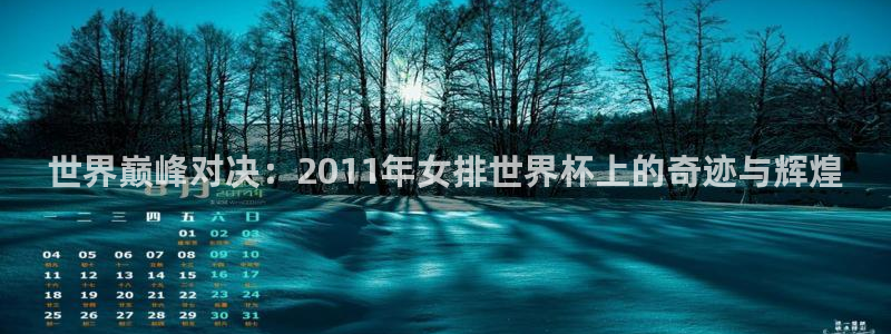 足球比分直播世界杯：世界巅峰对决：2011年女排世界杯上的奇迹与辉煌