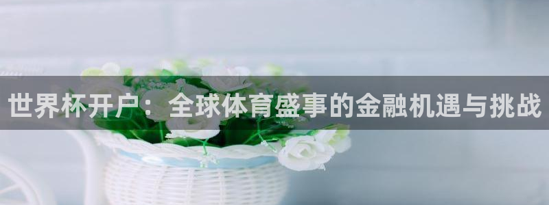 世界杯足球2026：世界杯开户：全球体育盛事的金融机遇与挑战