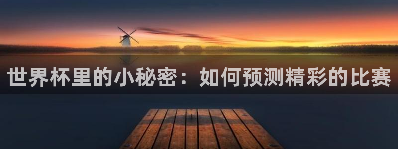 2026世界杯亚洲预选赛：世界杯里的小秘密：如何预测精彩的比赛