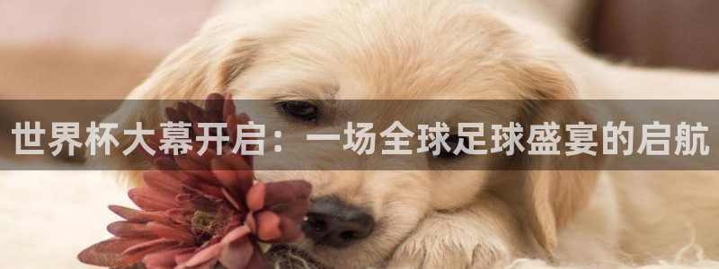 2026世界杯直播免费观看：世界杯大幕开启：一场全球足球盛宴的启航